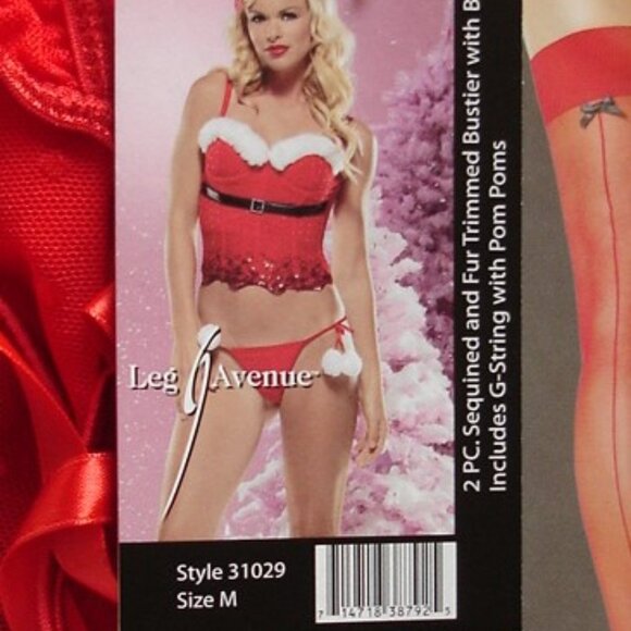 Leg Avenue Holiday Outfit Brand New with Free Santa Hat, Stockings, and undies. - Picture 1 of 5